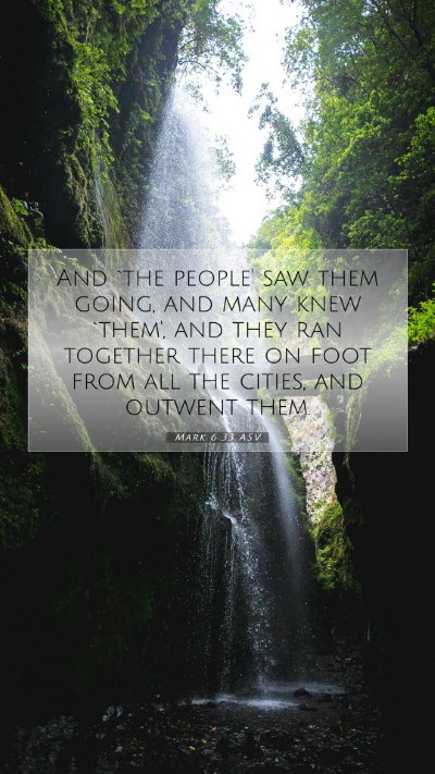 Picture 07 - Mark 6:33 ASV Mobile Phone Wallpaper - And `the people' saw them going, and many knew - Mobile Bible Verse Wallpaper