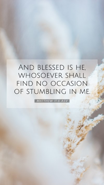 Picture 07 - Matthew 11:6 ASV Mobile Phone Wallpaper - And blessed is he, whosoever shall find no - Mobile Bible Verse Wallpaper