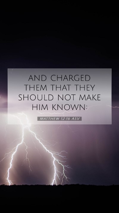Picture 07 - Matthew 12:16 ASV Mobile Phone Wallpaper - and charged them that they should not make him - Mobile Bible Verse Wallpaper
