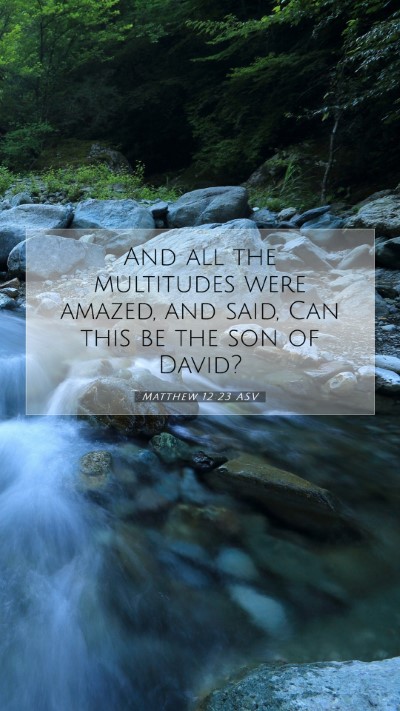 Picture 07 - Matthew 12:23 ASV Mobile Phone Wallpaper - And all the multitudes were amazed, and said, Can - Mobile Bible Verse Wallpaper