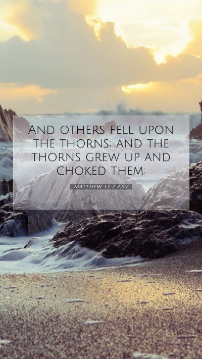 Picture 07 - Matthew 13:7 ASV Mobile Phone Wallpaper - And others fell upon the thorns; and the thorns - Mobile Bible Verse Wallpaper