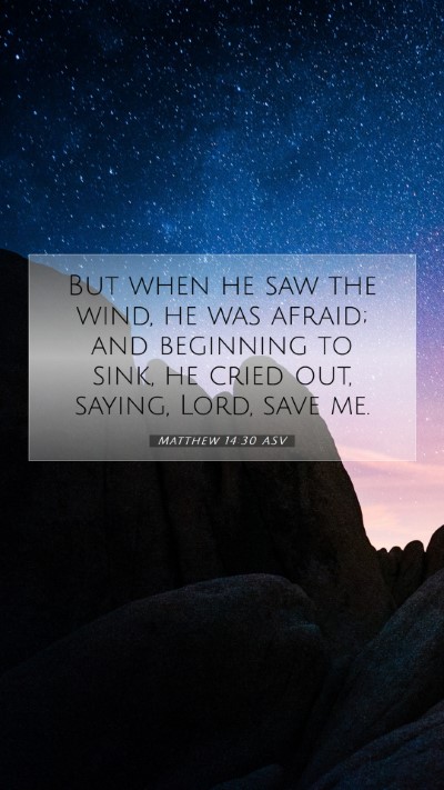 Picture 07 - Matthew 14:30 ASV Mobile Phone Wallpaper - But when he saw the wind, he was afraid; and - Mobile Bible Verse Wallpaper