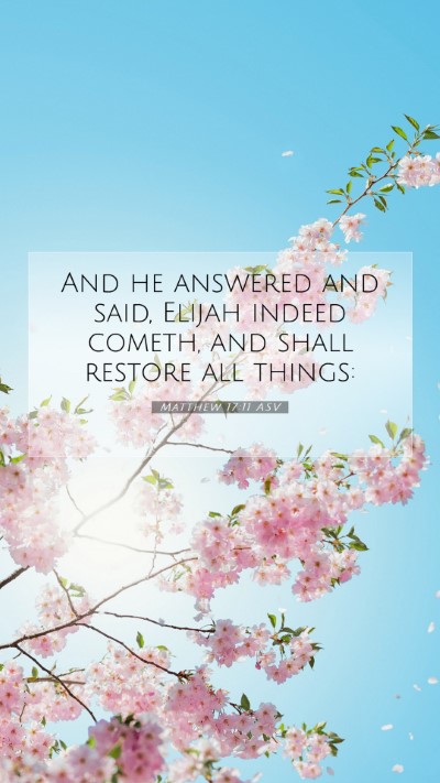 Picture 07 - Matthew 17:11 ASV Mobile Phone Wallpaper - And he answered and said, Elijah indeed cometh, - Mobile Bible Verse Wallpaper