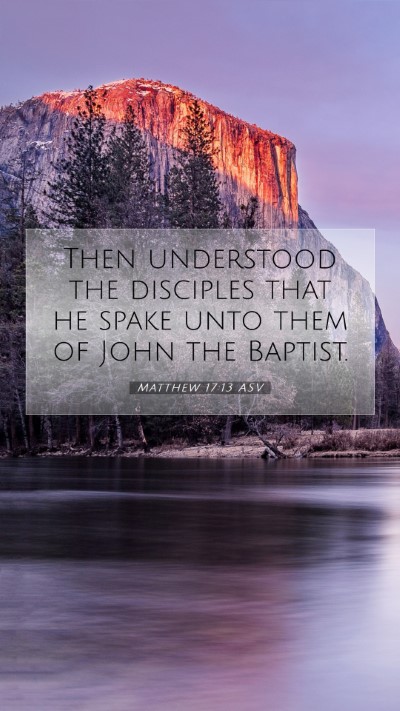 Picture 07 - Matthew 17:13 ASV Mobile Phone Wallpaper - Then understood the disciples that he spake unto - Mobile Bible Verse Wallpaper