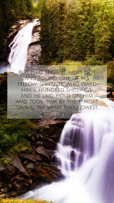 Picture 07 - Matthew 18:28 ASV Mobile Phone Wallpaper - But that servant went out, and found one of his - Mobile Bible Verse Wallpaper