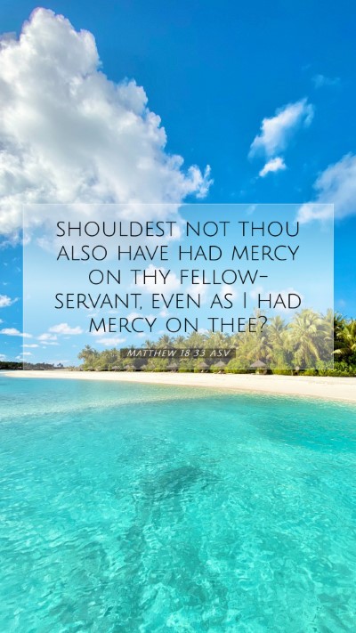 Picture 07 - Matthew 18:33 ASV Mobile Phone Wallpaper - shouldest not thou also have had mercy on thy - Mobile Bible Verse Wallpaper