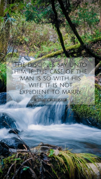 Picture 07 - Matthew 19:10 ASV Mobile Phone Wallpaper - The disciples say unto him, If the case of the - Mobile Bible Verse Wallpaper