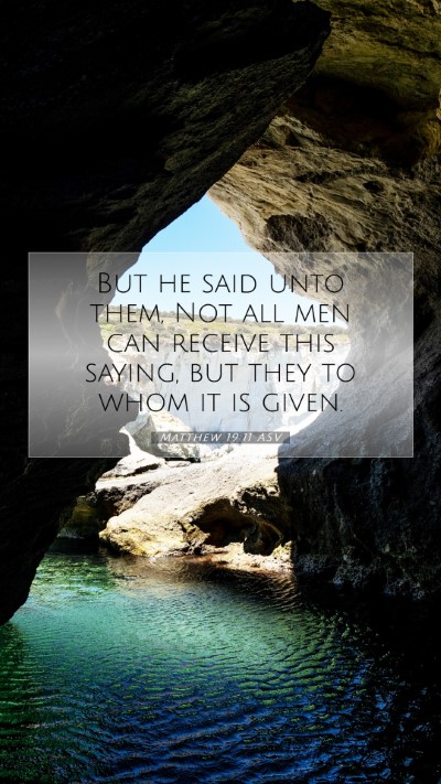 Picture 07 - Matthew 19:11 ASV Mobile Phone Wallpaper - But he said unto them, Not all men can receive - Mobile Bible Verse Wallpaper