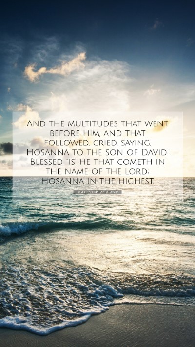 Picture 07 - Matthew 21:9 ASV Mobile Phone Wallpaper - And the multitudes that went before him, and that - Mobile Bible Verse Wallpaper