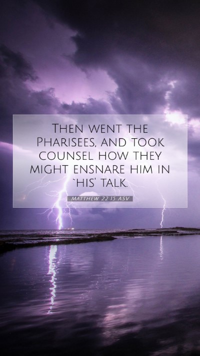 Picture 07 - Matthew 22:15 ASV Mobile Phone Wallpaper - Then went the Pharisees, and took counsel how - Mobile Bible Verse Wallpaper