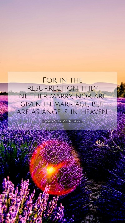 Picture 07 - Matthew 22:30 ASV Mobile Phone Wallpaper - For in the resurrection they neither marry, nor - Mobile Bible Verse Wallpaper