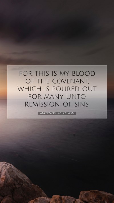 Picture 07 - Matthew 26:28 ASV Mobile Phone Wallpaper - for this is my blood of the covenant, which is - Mobile Bible Verse Wallpaper