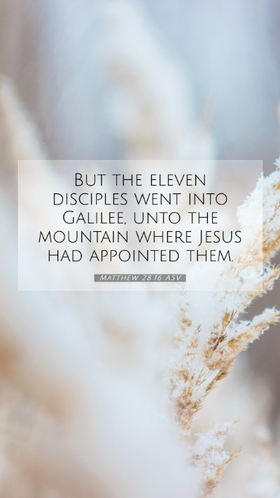 Picture 07 - Matthew 28:16 ASV Mobile Phone Wallpaper - But the eleven disciples went into Galilee, unto - Mobile Bible Verse Wallpaper