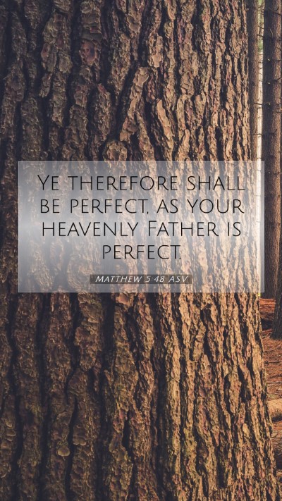 Picture 07 - Matthew 5:48 ASV Mobile Phone Wallpaper - Ye therefore shall be perfect, as your heavenly - Mobile Bible Verse Wallpaper