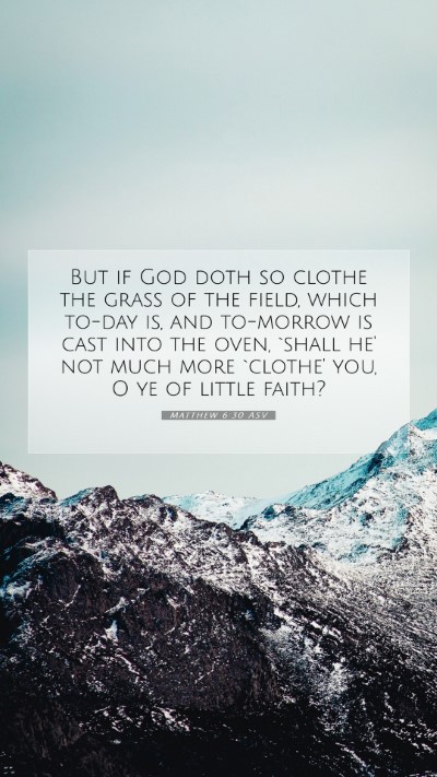 Picture 07 - Matthew 6:30 ASV Mobile Phone Wallpaper - But if God doth so clothe the grass of the field, - Mobile Bible Verse Wallpaper