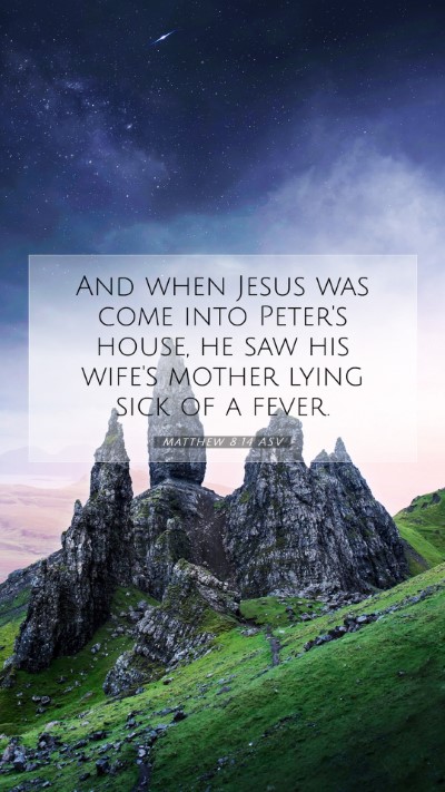 Picture 07 - Matthew 8:14 ASV Mobile Phone Wallpaper - And when Jesus was come into Peter's house, he - Mobile Bible Verse Wallpaper