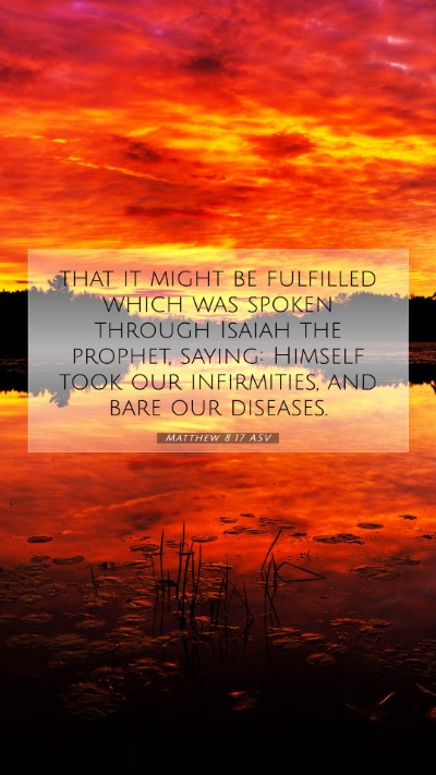 Picture 07 - Matthew 8:17 ASV Mobile Phone Wallpaper - that it might be fulfilled which was spoken - Mobile Bible Verse Wallpaper
