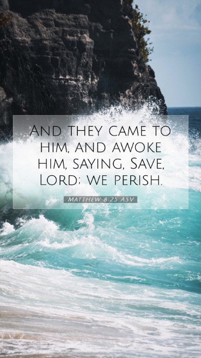 Picture 07 - Matthew 8:25 ASV Mobile Phone Wallpaper - And they came to him, and awoke him, saying, - Mobile Bible Verse Wallpaper