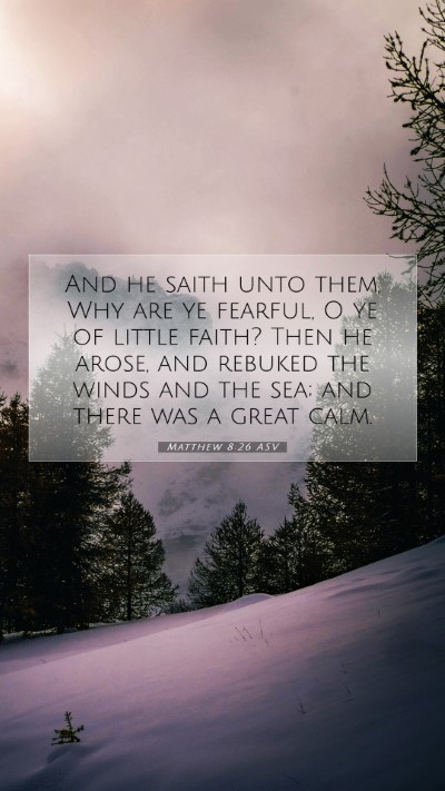 Picture 07 - Matthew 8:26 ASV Mobile Phone Wallpaper - And he saith unto them, Why are ye fearful, O ye - Mobile Bible Verse Wallpaper