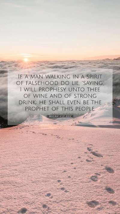 Picture 07 - Micah 2:11 ASV Mobile Phone Wallpaper - If a man walking in a spirit of falsehood do lie, - Mobile Bible Verse Wallpaper