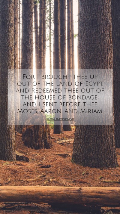 Picture 07 - Micah 6:4 ASV Mobile Phone Wallpaper - For I brought thee up out of the land of Egypt, - Mobile Bible Verse Wallpaper