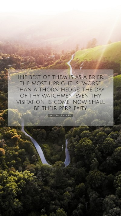 Picture 07 - Micah 7:4 ASV Mobile Phone Wallpaper - The best of them is as a brier; the most upright - Mobile Bible Verse Wallpaper