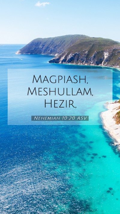 Picture 07 - Nehemiah 10:20 ASV Mobile Phone Wallpaper - Magpiash, Meshullam, - Mobile Bible Verse Wallpaper
