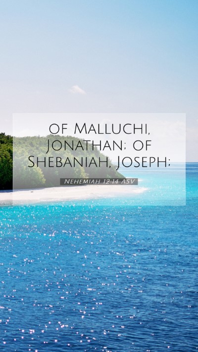Picture 07 - Nehemiah 12:14 ASV Mobile Phone Wallpaper - of Malluchi, Jonathan; of Shebaniah, - Mobile Bible Verse Wallpaper