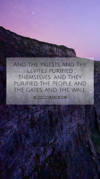 Picture 07 - Nehemiah 12:30 ASV Mobile Phone Wallpaper - And the priests and the Levites purified - Mobile Bible Verse Wallpaper