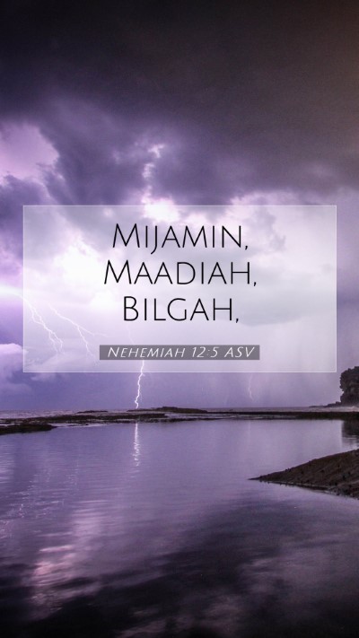 Picture 07 - Nehemiah 12:5 ASV Mobile Phone Wallpaper - Mijamin, Maadiah, - Mobile Bible Verse Wallpaper
