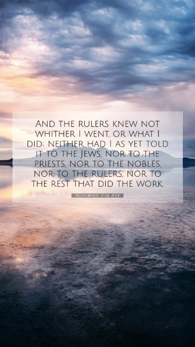 Picture 07 - Nehemiah 2:16 ASV Mobile Phone Wallpaper - And the rulers knew not whither I went, or what I - Mobile Bible Verse Wallpaper