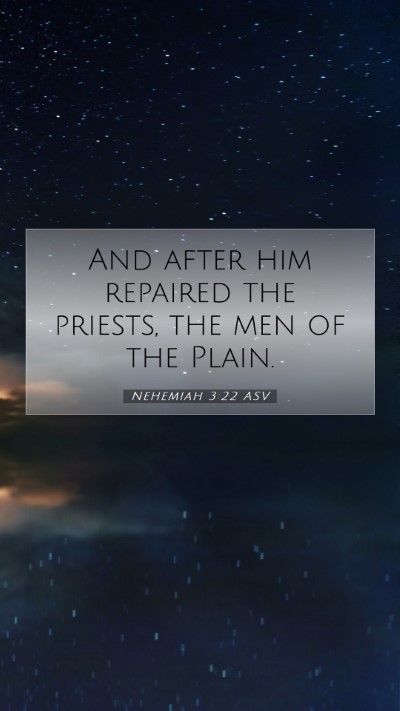 Picture 07 - Nehemiah 3:22 ASV Mobile Phone Wallpaper - And after him repaired the priests, the men of - Mobile Bible Verse Wallpaper