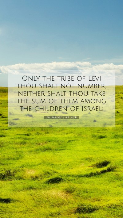 Picture 07 - Numbers 1:49 ASV Mobile Phone Wallpaper - Only the tribe of Levi thou shalt not number, - Mobile Bible Verse Wallpaper