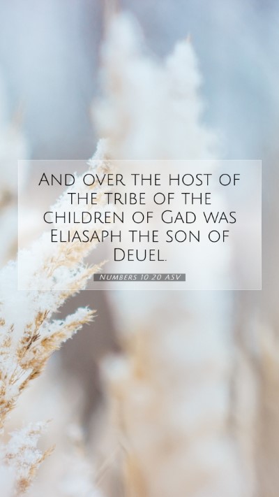 Picture 07 - Numbers 10:20 ASV Mobile Phone Wallpaper - And over the host of the tribe of the children of - Mobile Bible Verse Wallpaper