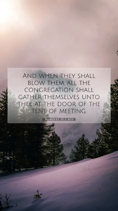 Picture 07 - Numbers 10:3 ASV Mobile Phone Wallpaper - And when they shall blow them, all the - Mobile Bible Verse Wallpaper