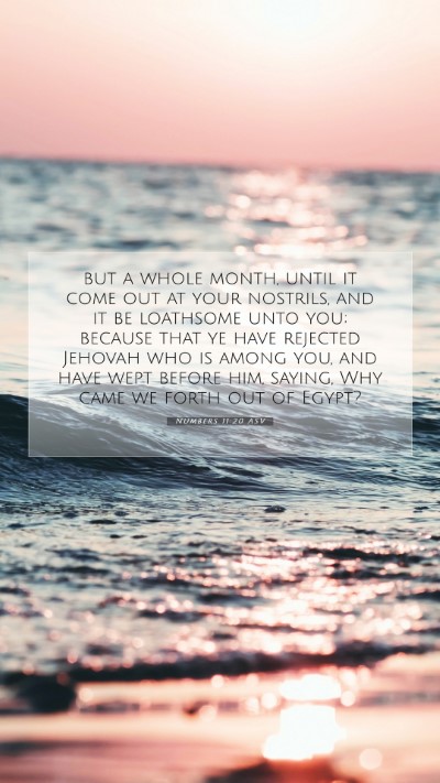 Picture 07 - Numbers 11:20 ASV Mobile Phone Wallpaper - but a whole month, until it come out at your - Mobile Bible Verse Wallpaper