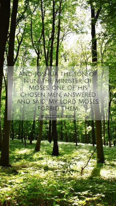 Picture 07 - Numbers 11:28 ASV Mobile Phone Wallpaper - And Joshua the son of Nun, the minister of Moses, - Mobile Bible Verse Wallpaper