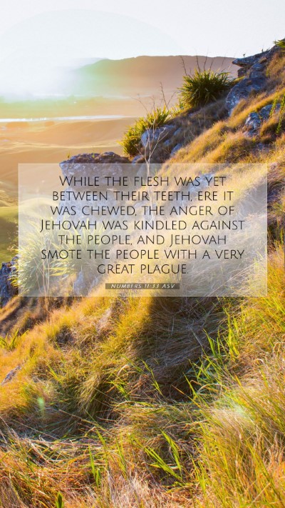 Picture 07 - Numbers 11:33 ASV Mobile Phone Wallpaper - While the flesh was yet between their teeth, ere - Mobile Bible Verse Wallpaper