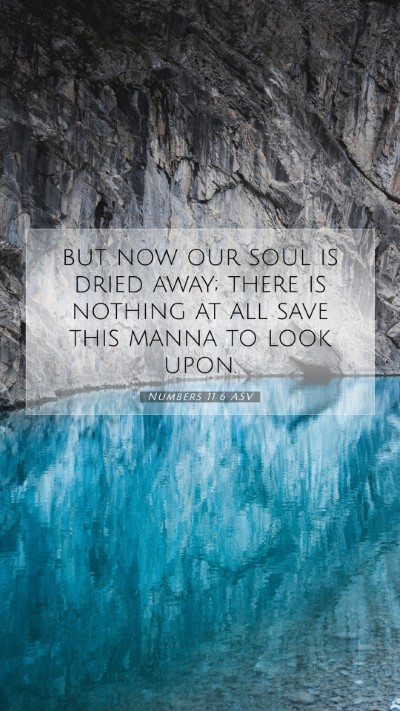 Picture 07 - Numbers 11:6 ASV Mobile Phone Wallpaper - but now our soul is dried away; there is nothing - Mobile Bible Verse Wallpaper