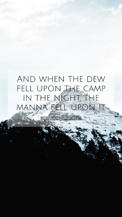 Picture 07 - Numbers 11:9 ASV Mobile Phone Wallpaper - And when the dew fell upon the camp in the night, - Mobile Bible Verse Wallpaper