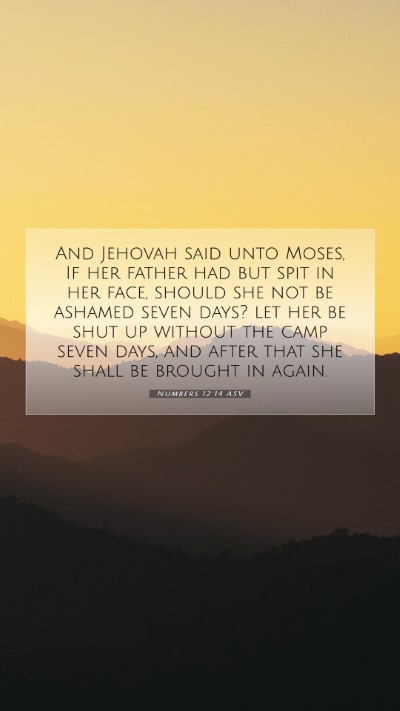Picture 07 - Numbers 12:14 ASV Mobile Phone Wallpaper - And Jehovah said unto Moses, If her father had - Mobile Bible Verse Wallpaper