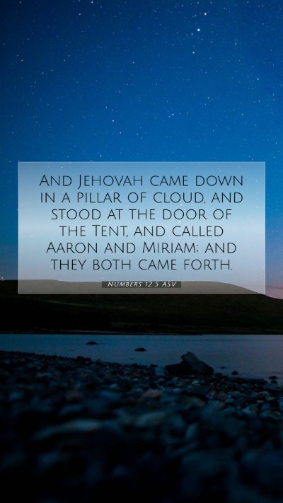 Picture 07 - Numbers 12:5 ASV Mobile Phone Wallpaper - And Jehovah came down in a pillar of cloud, and - Mobile Bible Verse Wallpaper