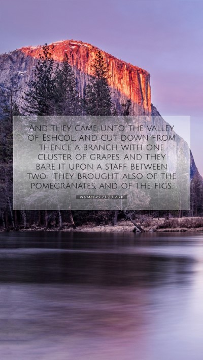 Picture 07 - Numbers 13:23 ASV Mobile Phone Wallpaper - And they came unto the valley of Eshcol, and cut - Mobile Bible Verse Wallpaper