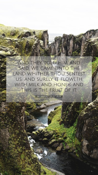 Picture 07 - Numbers 13:27 ASV Mobile Phone Wallpaper - And they told him, and said, We came unto the - Mobile Bible Verse Wallpaper