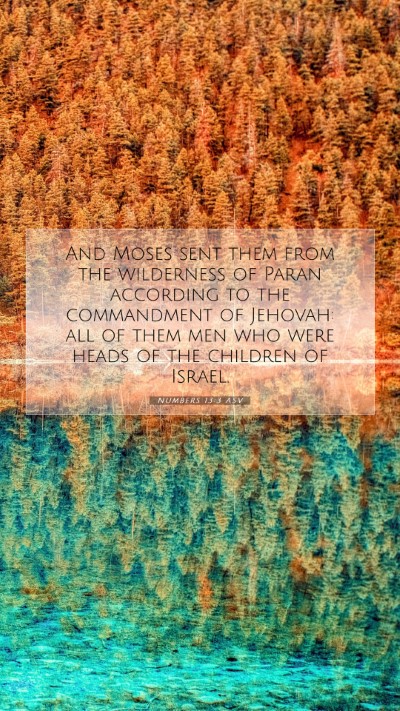 Picture 07 - Numbers 13:3 ASV Mobile Phone Wallpaper - And Moses sent them from the wilderness of Paran - Mobile Bible Verse Wallpaper