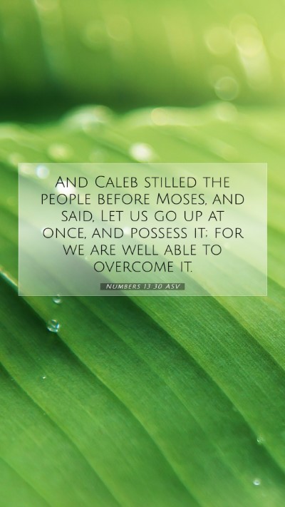 Picture 07 - Numbers 13:30 ASV Mobile Phone Wallpaper - And Caleb stilled the people before Moses, and - Mobile Bible Verse Wallpaper