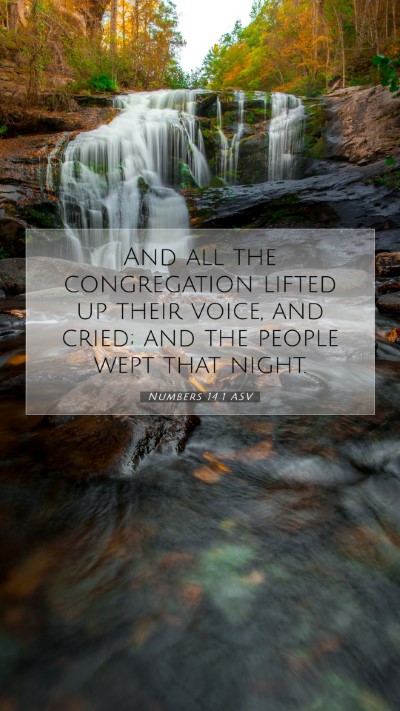 Picture 07 - Numbers 14:1 ASV Mobile Phone Wallpaper - And all the congregation lifted up their voice, - Mobile Bible Verse Wallpaper