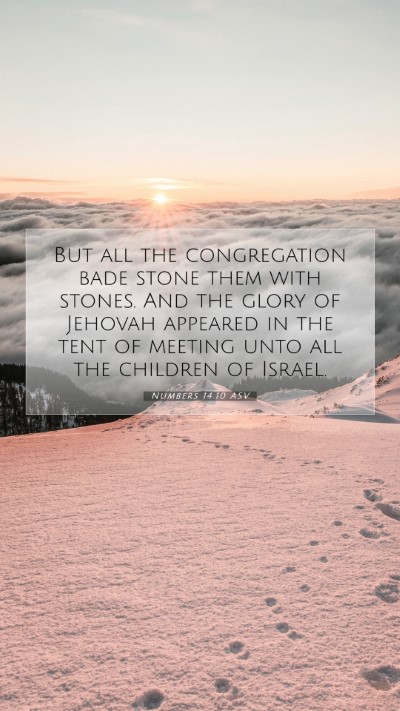 Picture 07 - Numbers 14:10 ASV Mobile Phone Wallpaper - But all the congregation bade stone them with - Mobile Bible Verse Wallpaper