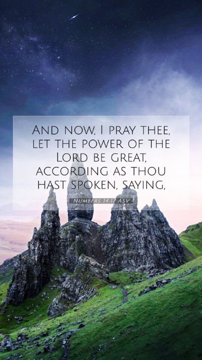 Picture 07 - Numbers 14:17 ASV Mobile Phone Wallpaper - And now, I pray thee, let the power of the Lord - Mobile Bible Verse Wallpaper