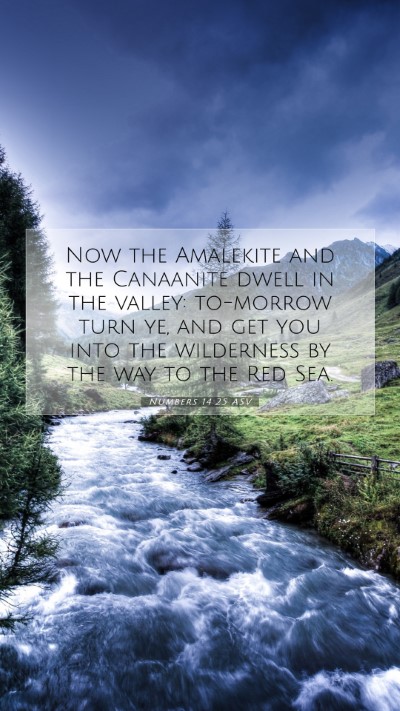 Picture 07 - Numbers 14:25 ASV Mobile Phone Wallpaper - Now the Amalekite and the Canaanite dwell in the - Mobile Bible Verse Wallpaper